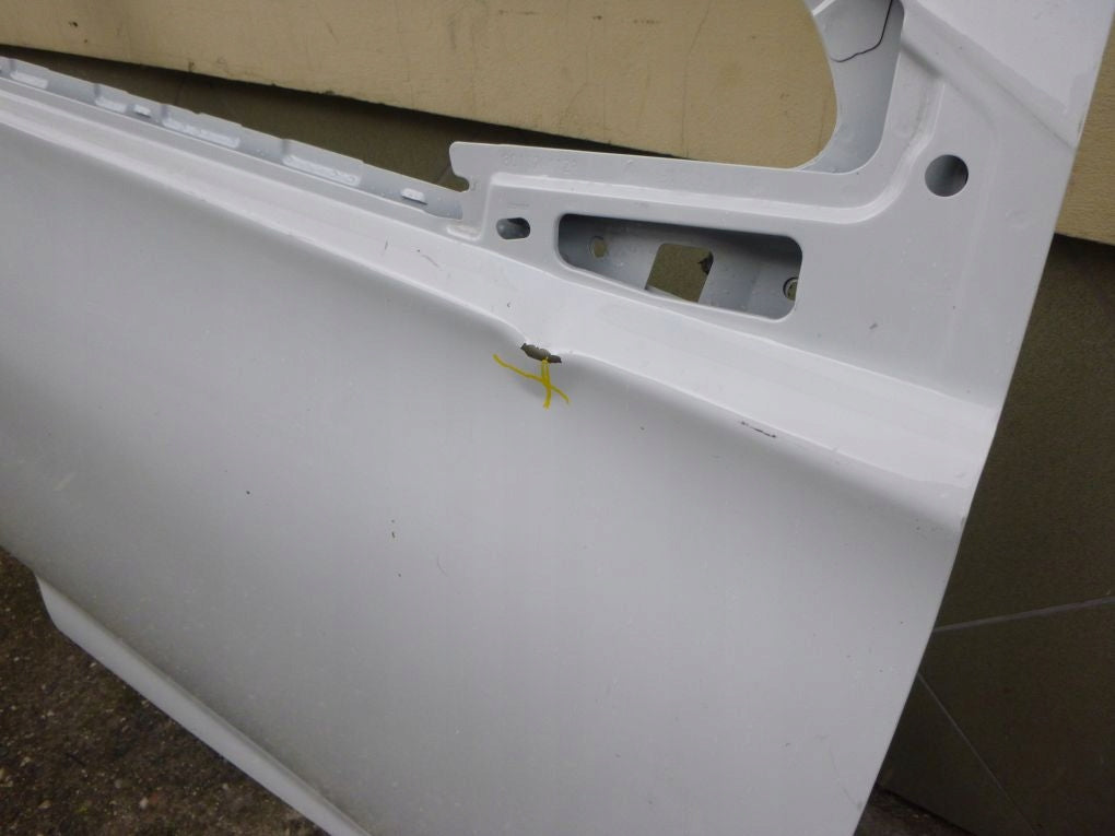 RENAULT ZOE Front Right Door